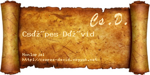 Csépes Dávid névjegykártya